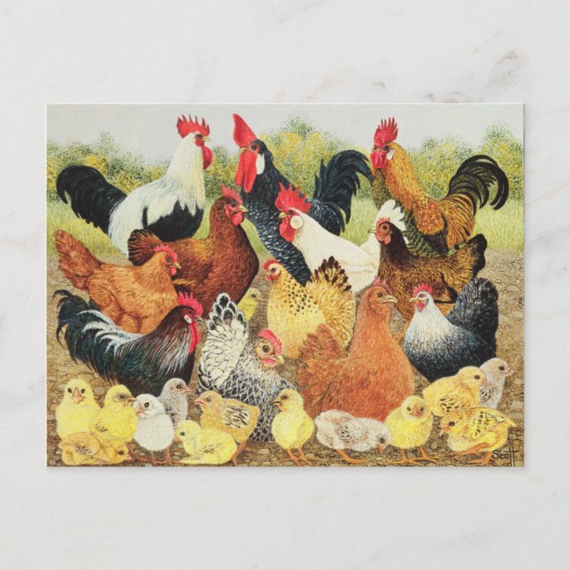 Carte Postale À propos de (Devant)