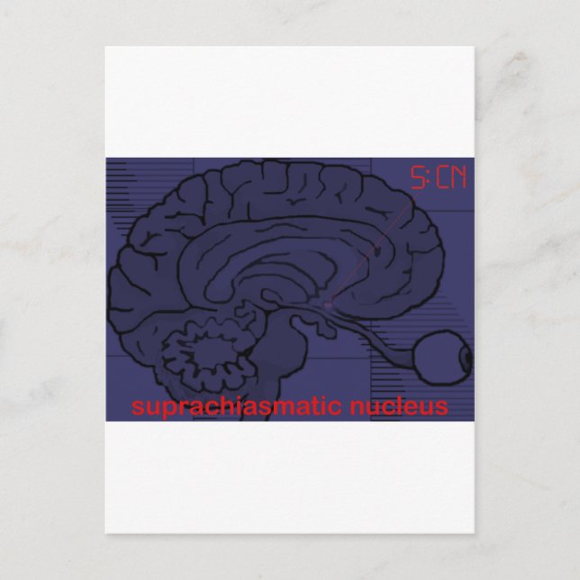 Carte Postale À quelle heure est-il ? Demander à mon SCN (Devant)