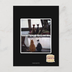 Carte Postale À travers épais et mince