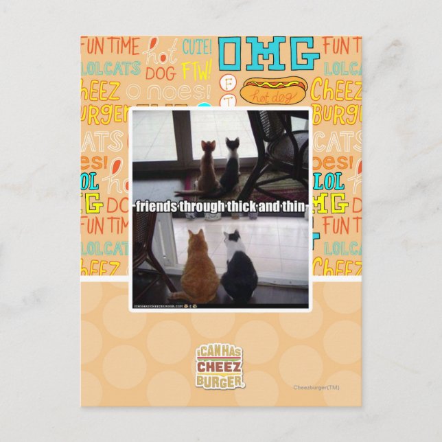 Carte Postale À travers épais et mince (Devant)