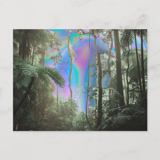 Carte Postale À travers les arbres (Devant)