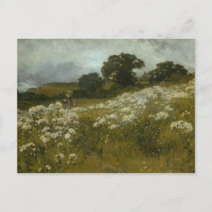 Carte Postale À travers les champs