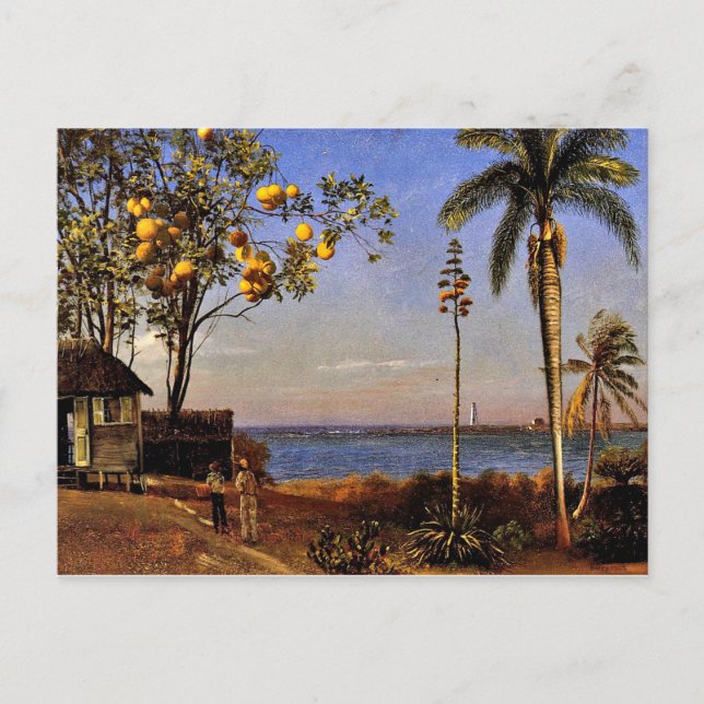 Carte Postale A View in the Bahamas, Albert Bierstadt peinture (Devant)