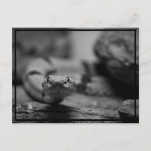 Carte Postale à vous regarder !