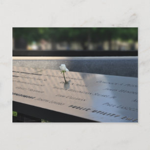 Carte Postale A white rose on Ground Zéro Memorial Postcard
