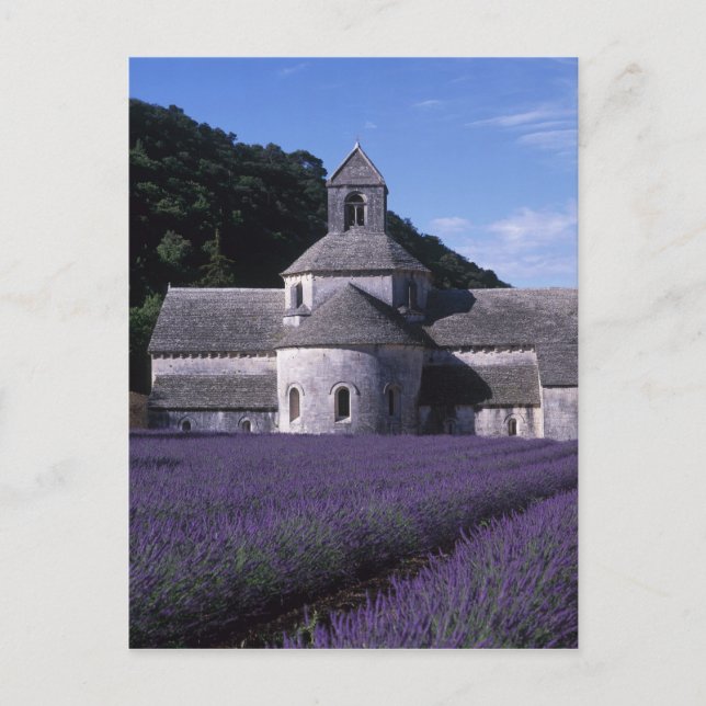 Carte Postale Abbaye de Senanque, Gordes, Vaucluse, Provence, 2 (Devant)
