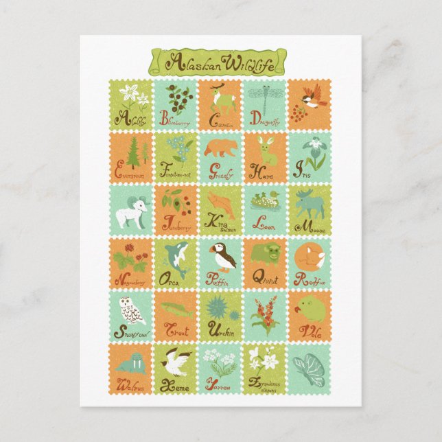 Carte postale ABC Alaska Wildlife (Devant)