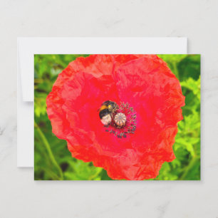 Carte Postale Abee