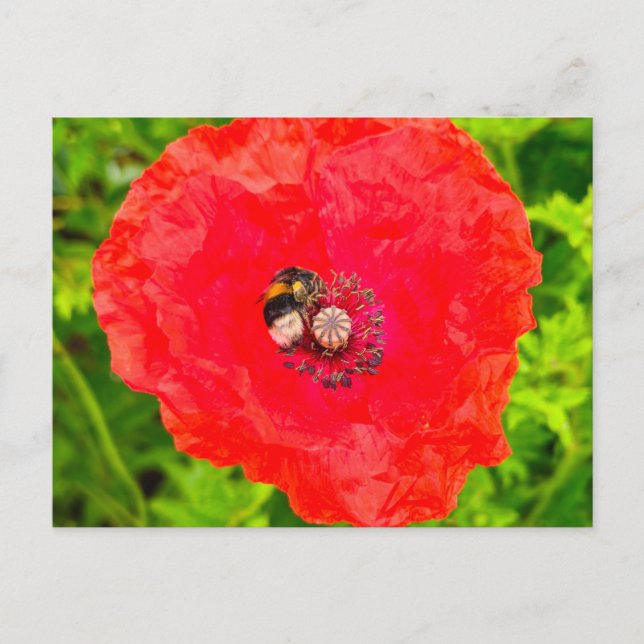 Carte Postale Abee (Devant)