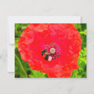 Carte Postale Abee
