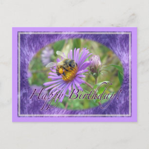 Carte Postale Abeille de miel sur Asters Anniversaire de coordin