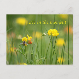 Carte Postale Abeille en ce moment