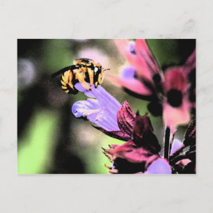 Carte Postale Abeille et fleur pccnm
