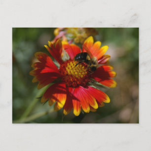 Carte Postale Abeille et fleurs