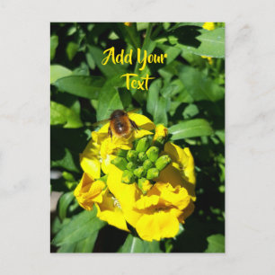 Carte Postale Abeille sur Fleurs Jaunes