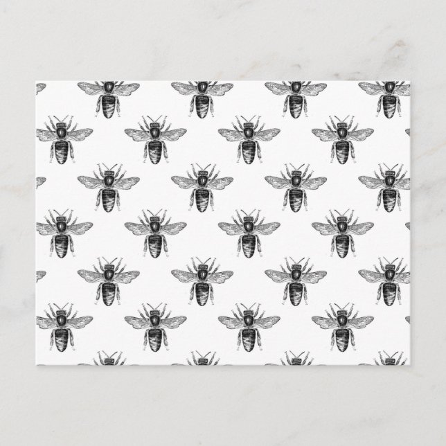 Carte Postale Abeilles de miel noir sur blanc (Devant)