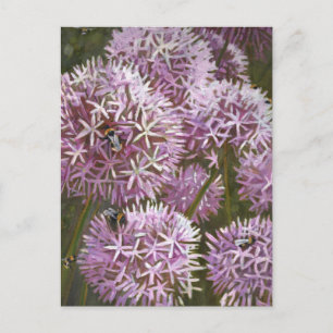 Carte Postale Abeilles d'été 2014