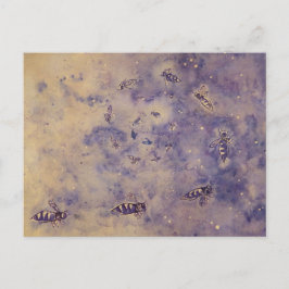 Carte postale Abeilles spatiales