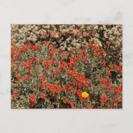 Carte postale Ablaze