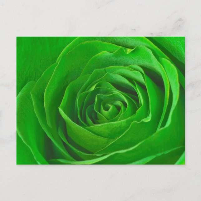 Carte Postale Abstrait Emerald Green Rose Center Photographie (Devant)