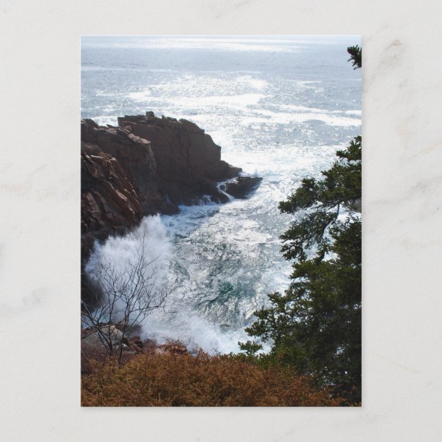 Carte postale Acadia - 5 (Devant)