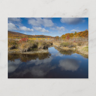 Carte Postale Acadia NP : couleurs d'automne, réflexions