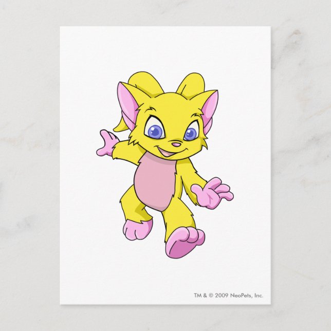 Carte Postale Acara jaune (Devant)