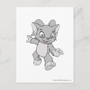 Carte Postale Acara Silver