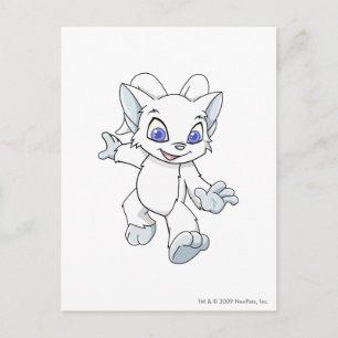 Carte Postale Acara White