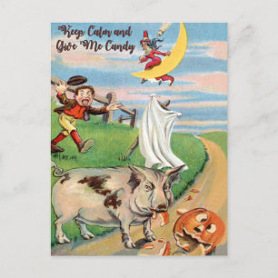 Carte Postale Accident de citrouille avec cochon