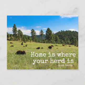 Carte Postale Accueil où votre troupeau est-South Dakota Post Ca