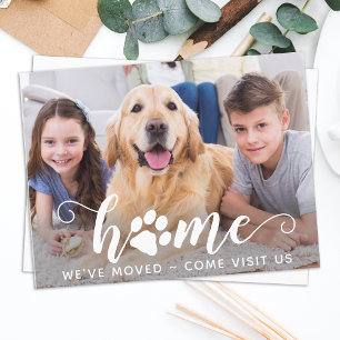 Carte Postale Accueil Photo Nous avons déplacé chien animal de c