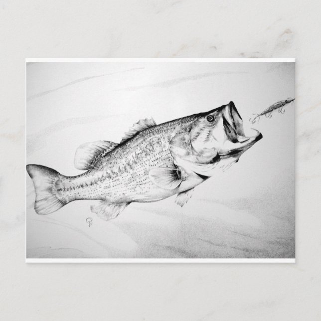 Carte Postale achigan à grande bouche noir et blanc chasse leurr (Devant)