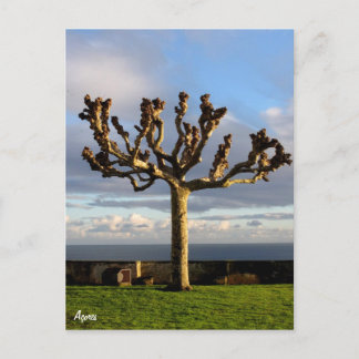 Carte postale Açores Ermida da mae de Deus