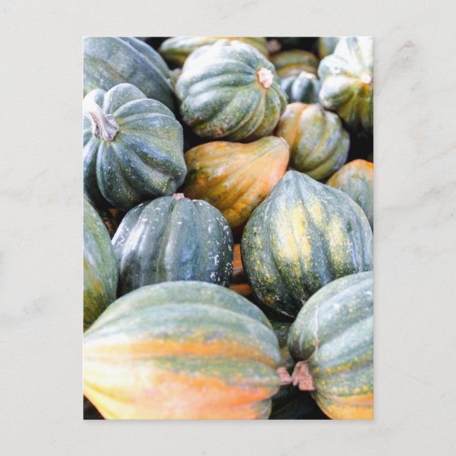 Carte Postale Acorn Squash (Devant)