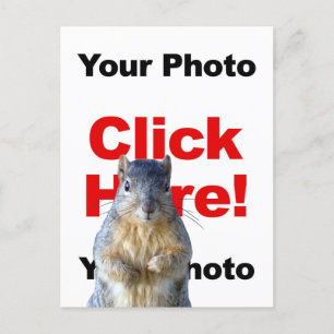 Carte Postale Add A Squirrel Custom Photo Postcard