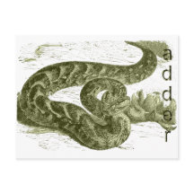 Adder (serpent)