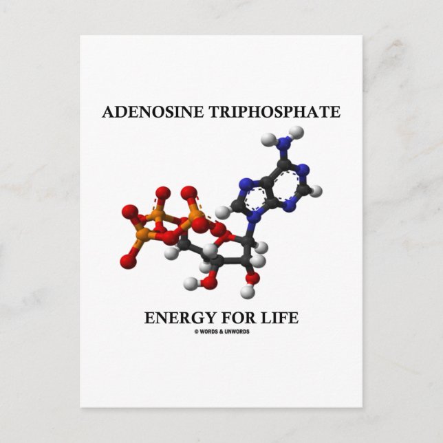 Carte Postale Adénosine Triphosphate (ATP) Énergie Pour La Vie (Devant)