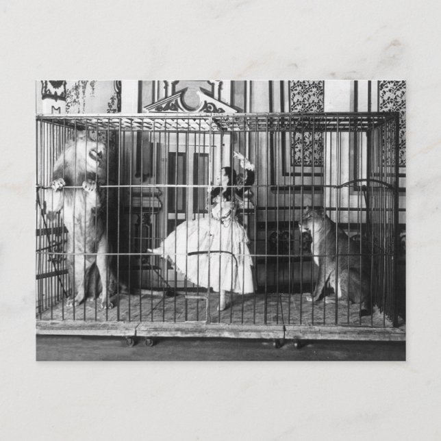 Carte Postale Adgie et ses lions formés 1897 (Devant)