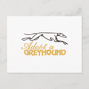 Carte Postale Adopter un Greyhound