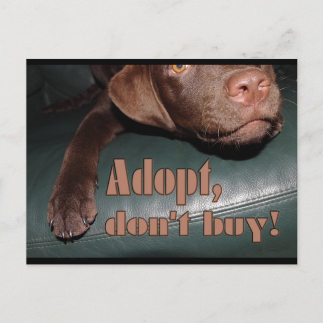 Carte Postale Adoptez, n'achetez pas ! - fuxart (Devant)
