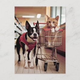 Carte Postale Adorable Boston Terrier et un chat aller Shopping