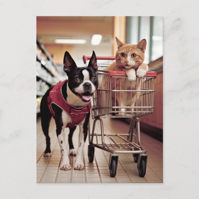 Carte Postale Adorable Boston Terrier et un chat aller Shopping (Devant)