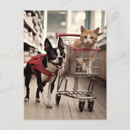 Carte Postale Adorable Boston Terrier et un Ginger Cat Shopping