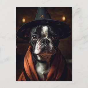 Carte Postale Adorable Boston Terrier Witch