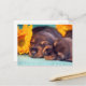 Carte Postale Adorable dort chiots Doxen (Devant/Arrière en situation)