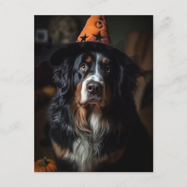 Carte Postale Adorable Halloween Bernese Mountain Dog (Devant)
