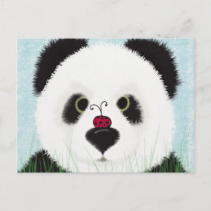 Carte Postale Adorable Ours De Panda
