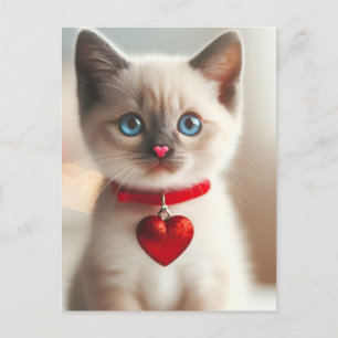 Carte Postale Adorable Saint Valentin Kitten avec coeur sur coll