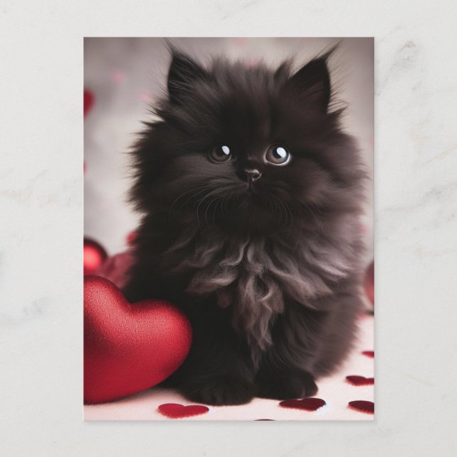 Carte Postale Adorable Valentine Fluffy Black Kitten (Devant)